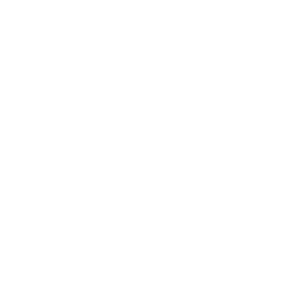Doc Rico